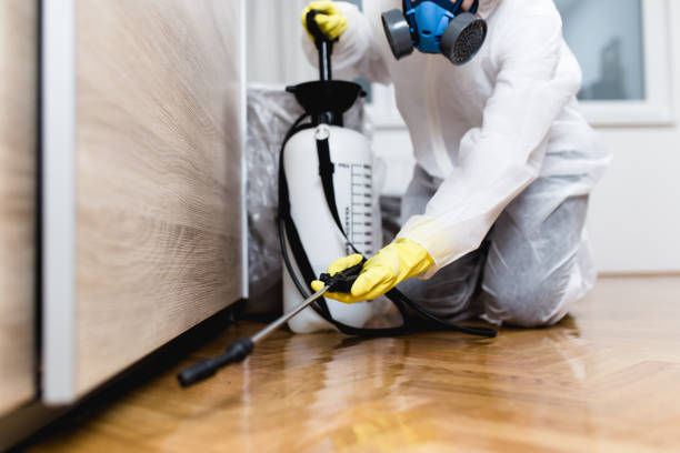 Best Termite Control Services  in Oak Hill, FL