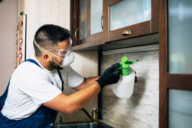 Best Emergency Pest Control  in Oak Hill, FL
