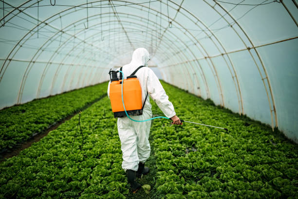 Reliable Oak Hill, FL Pest Control Solutions