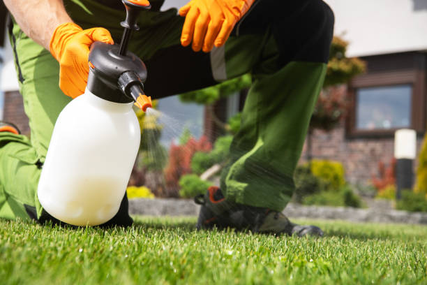 Best Wasp Removal Services  in Oak Hill, FL