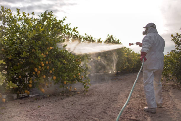 Best Pest Inspection Near Me  in Oak Hill, FL