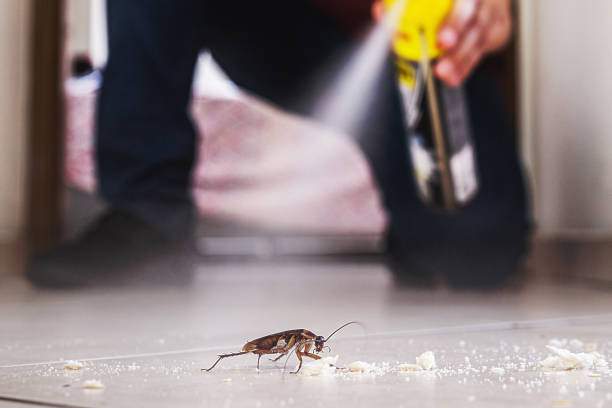 Best Exterminator Services  in Oak Hill, FL